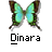 Dinara's Avatar