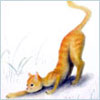 Marisabel's Avatar