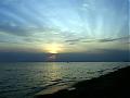 ���'s Avatar