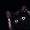 Stolakashka's Avatar