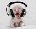 ������ ������������'s Avatar