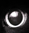 Maria Santana's Avatar