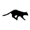 Dara's Avatar